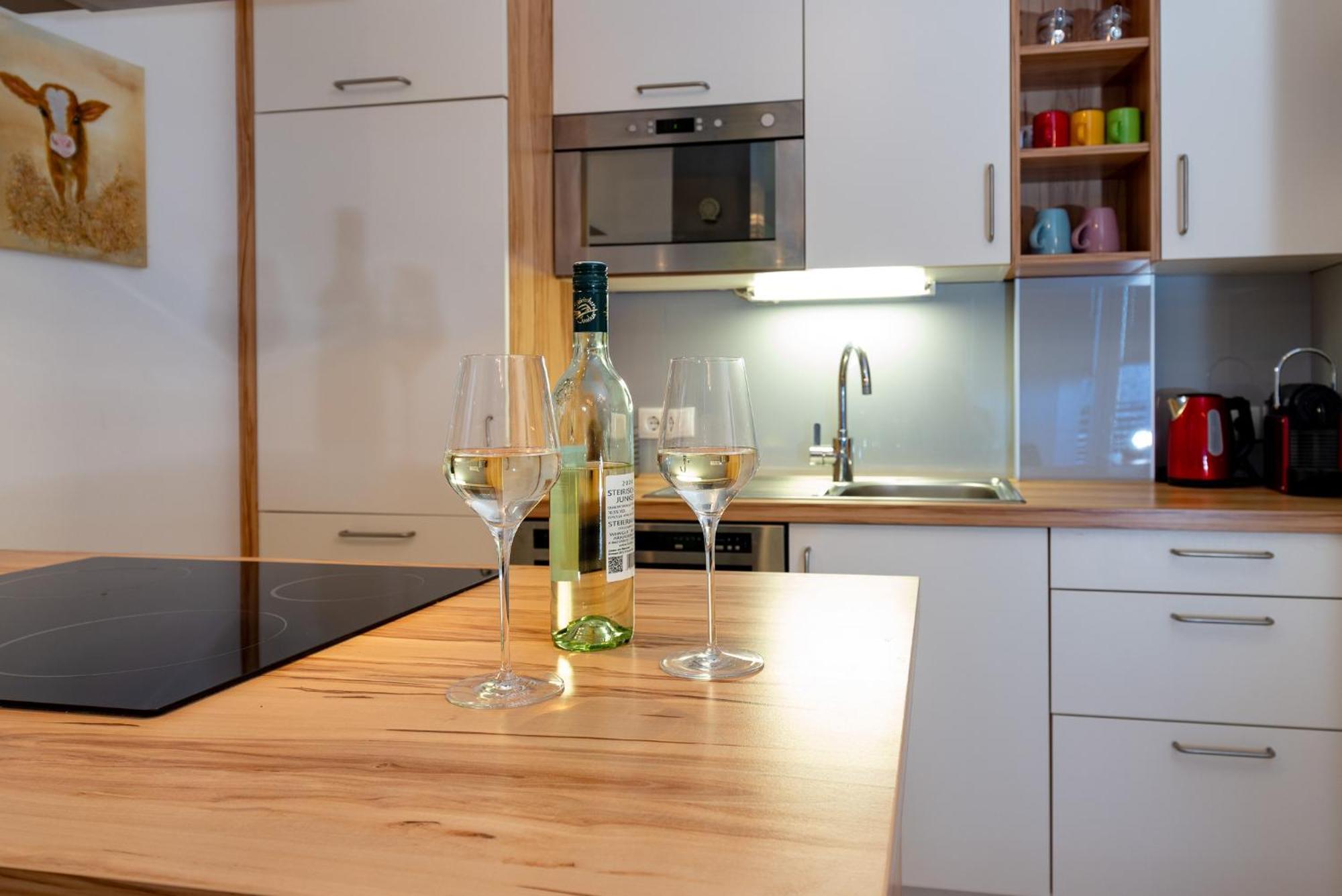 Appartement Klosterhuegel Гаус-ім-Енншталь Екстер'єр фото